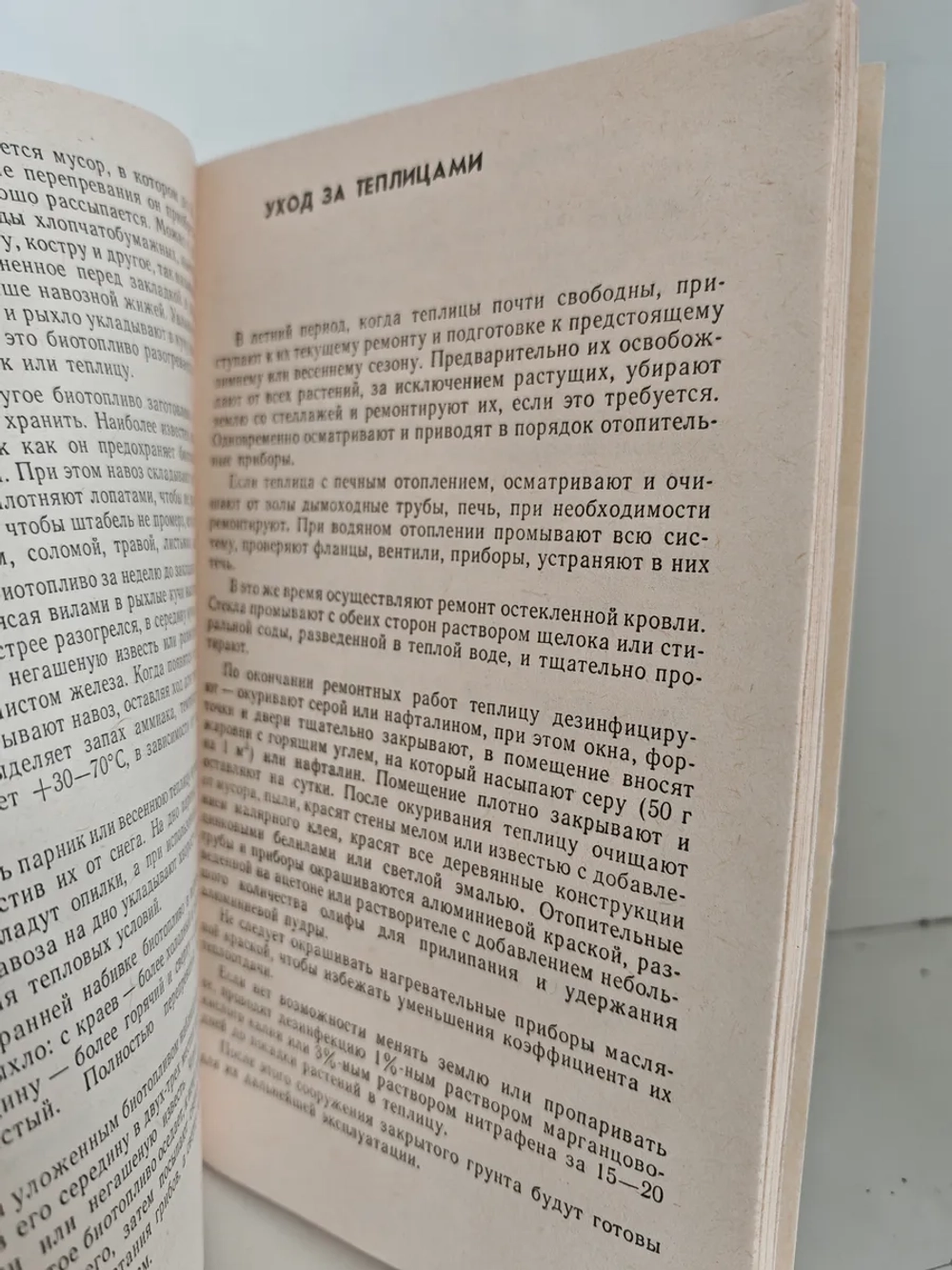 Теплица в приусадебном хозяйстве
