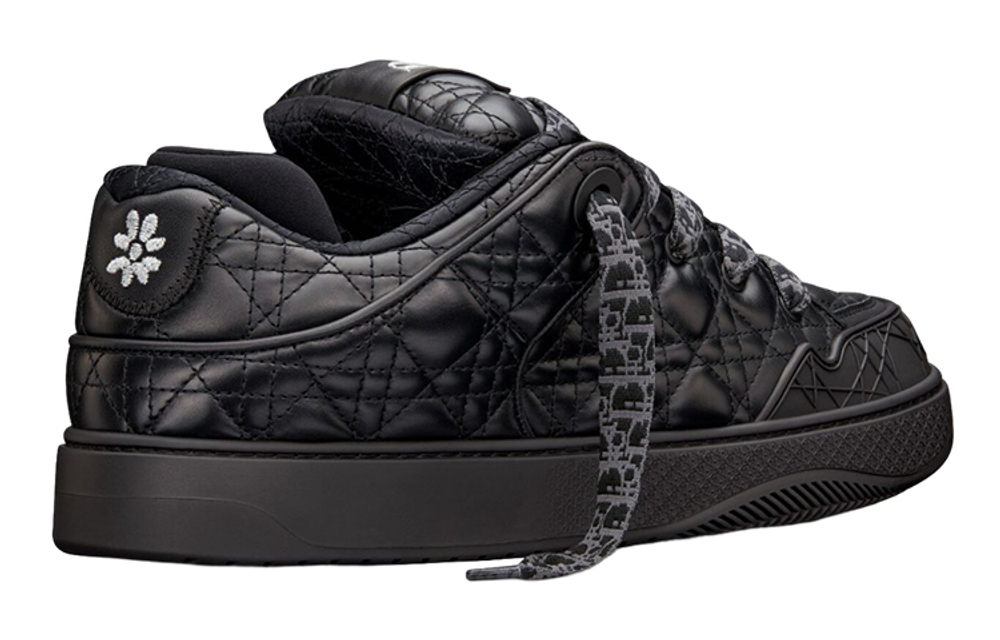 Кроссовки ERL x DIOR B9S Skater ERL Quilted Cannage Calfskin, 3SN288ZTT_H900
