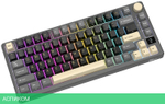 Клавиатура Royal Kludge RK-M75 Brown switch/Phantom