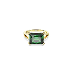 MATRIX:RING BAG GRE/GOS 55
