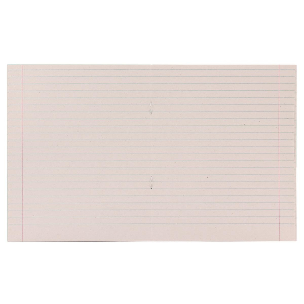 Тетрадь школьная А5 24 л линейка, белизна 65% (КПК) микс цветов (комплект 5 шт)