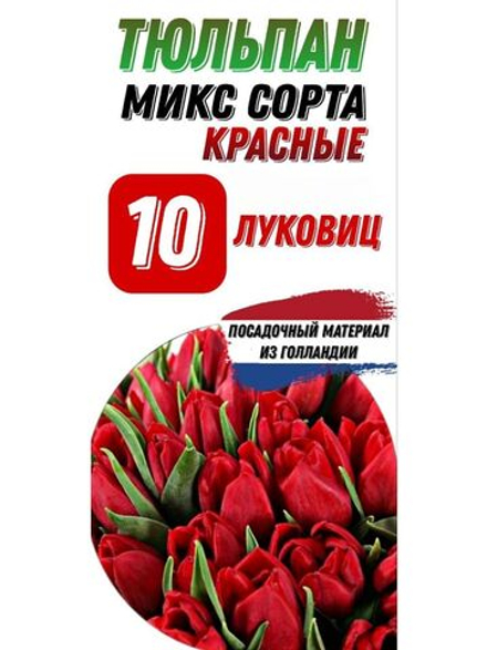 Тюльпан Луковица, Микс красных сортов, 10шт