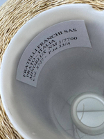 MINORLUX - Fratelli Franchi; вискоза, металлизированный люрекс, п/а; 770м/100гр; col. 8727, цвет: бежевый с золотым люрексом; S715; MP. ТОЛЬКО!! бобинки: 530, 449 гр