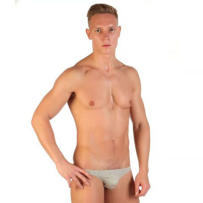 Хлопковые трусы-слипы с заниженной посадкой (Размер: L) (Цвет: светло-серый)