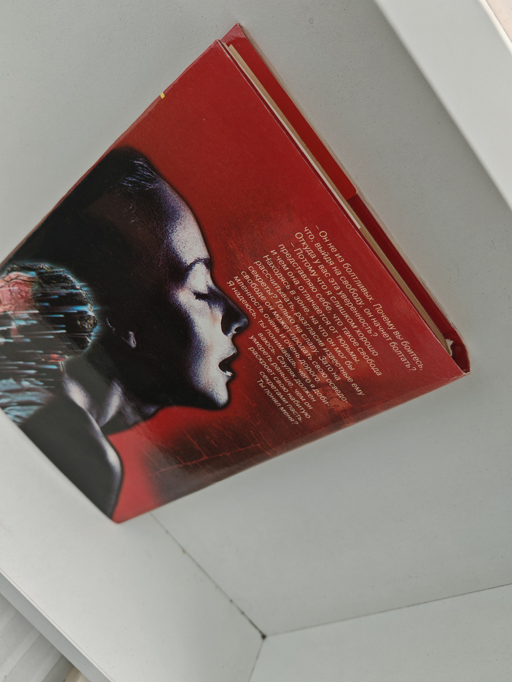 Не мешайте палачу