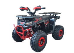 Квадроцикл YACOTA Vektor 125