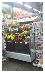 Горка холодильная Lida Stella Flora maxi (1000х1200х2000 мм)