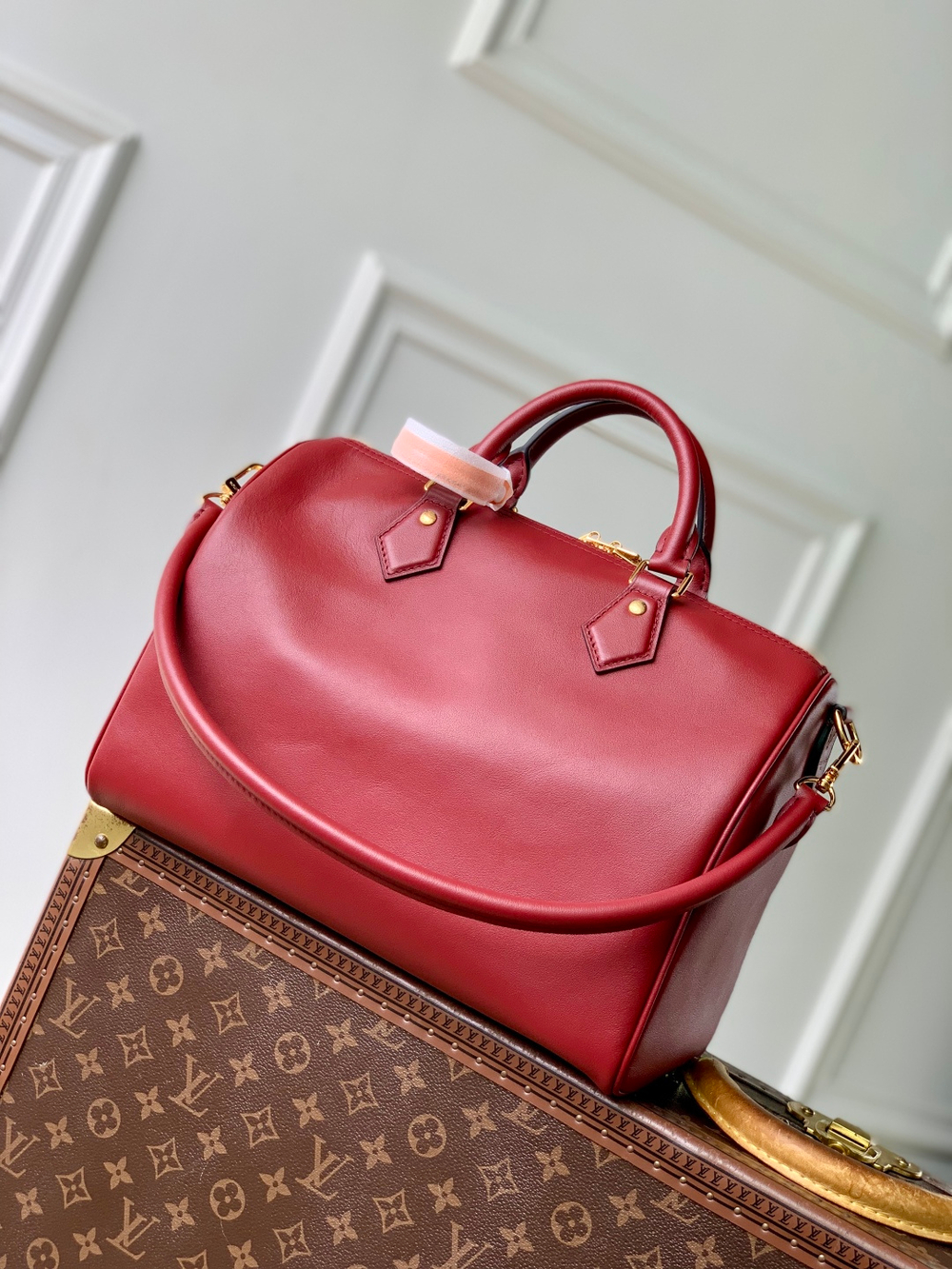 Louis Vuitton Speedy Soft 30