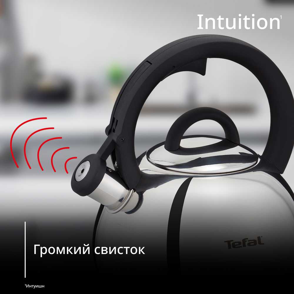 Чайник для плиты Tefal Intuition 2.5 л N4180317