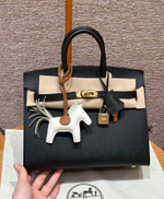 Hermes Birkin 25