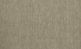 Шенилл Мейн 02