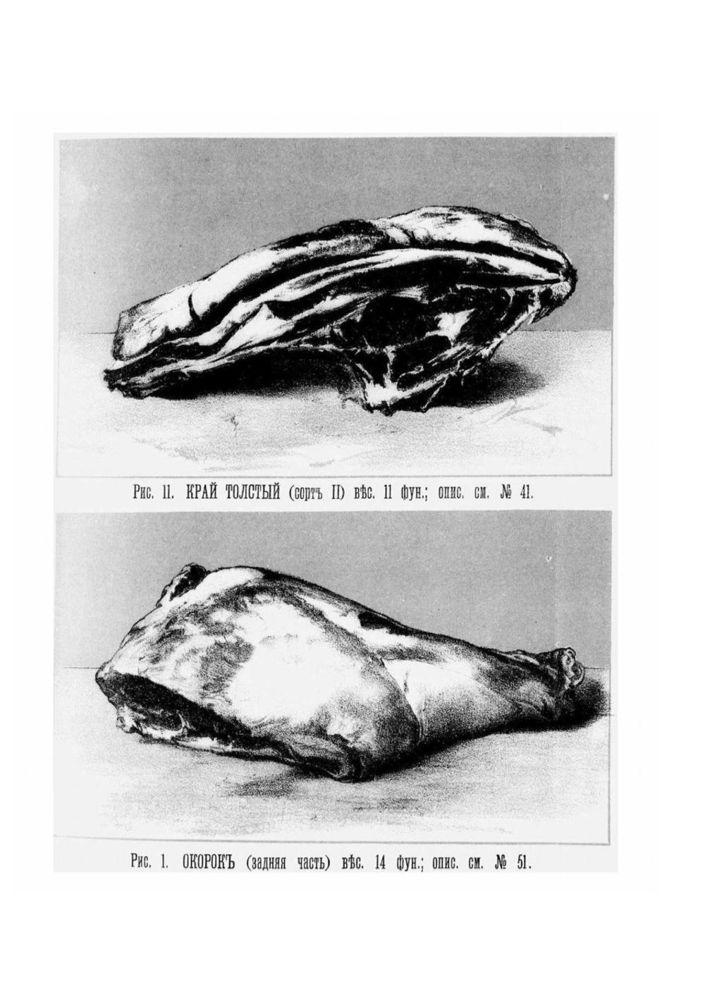 Скоромный и постный стол. Самая полная хозяйственная книга для приготовления 2800 блюд | Павловская О.