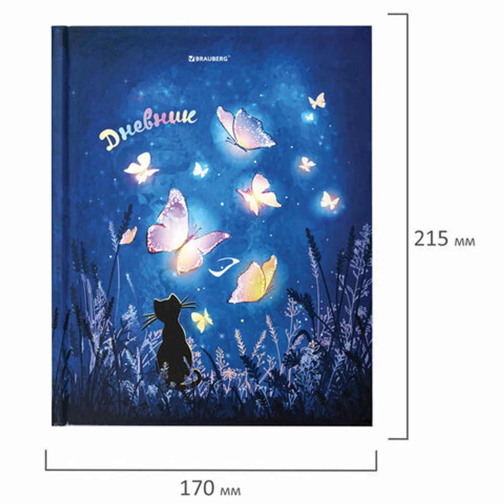 Дневник 1-11 класс 40 л., твердый, BRAUBERG, глянцевая ламинация, "Sweet Dreams", 106369