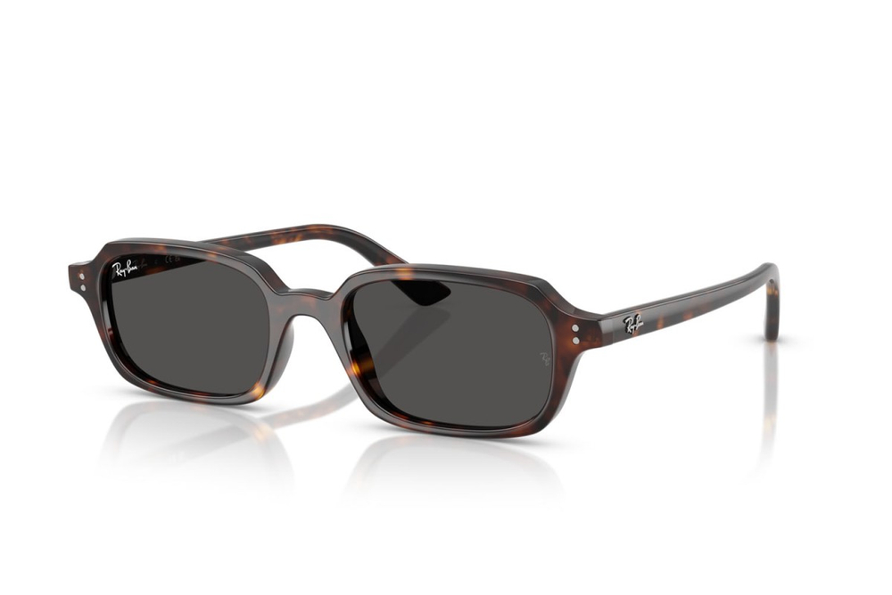 Ray Ban 4455 135987