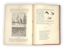Кайгородов Д. Из родной природы. Хрестоматия для школы и семьи. СПб, А. С. Суворин, 1903 г.
