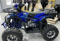 Квадроцикл PROMAX SPACE 200