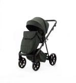 Коляска 2 в 1 Adamex Delta Nature