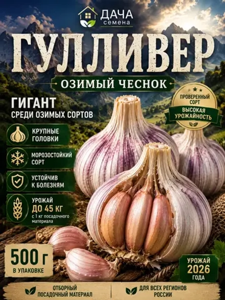 Чеснок посадочный озимый Гулливер