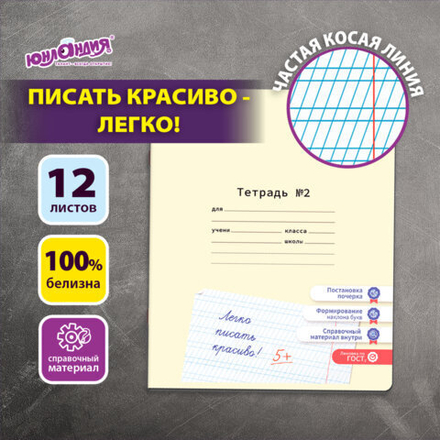 Тетрадь УЧУСЬ ПИСАТЬ № 2 12 л. частая косая линия, со справочным материалом, ЮНЛАНДИЯ, 404852, 20шт