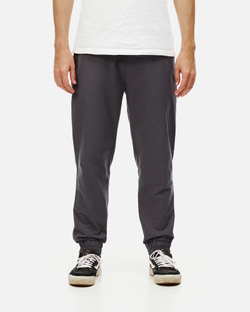 Брюки Anteater Joggers gray