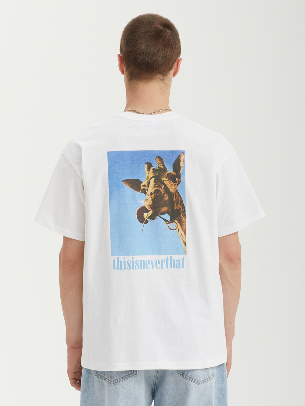 Мужская Футболка Giraffe