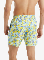 Мужские пляжные шорты мультиколор