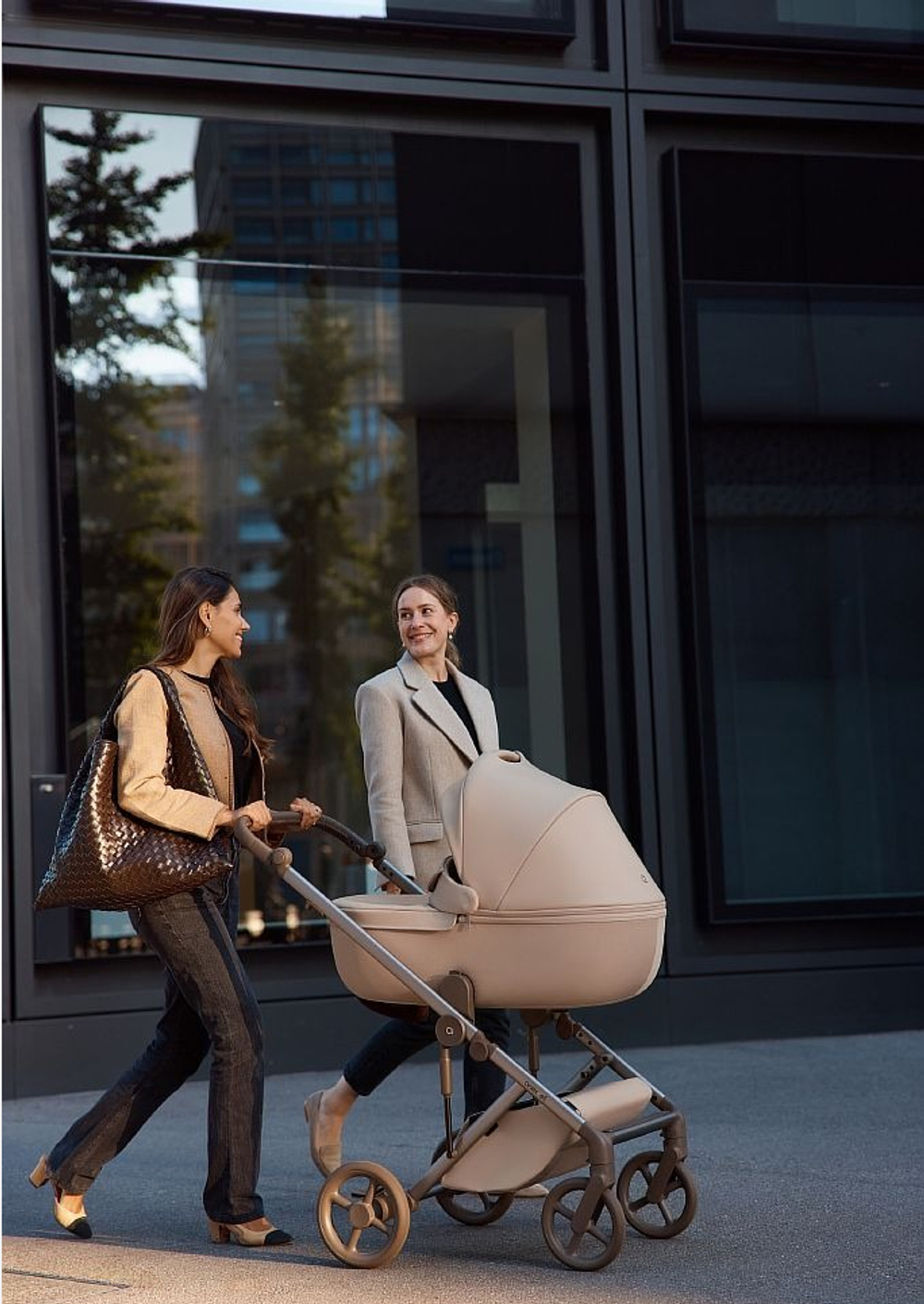 Anex Детская коляска Eli 2 в 1 Woody