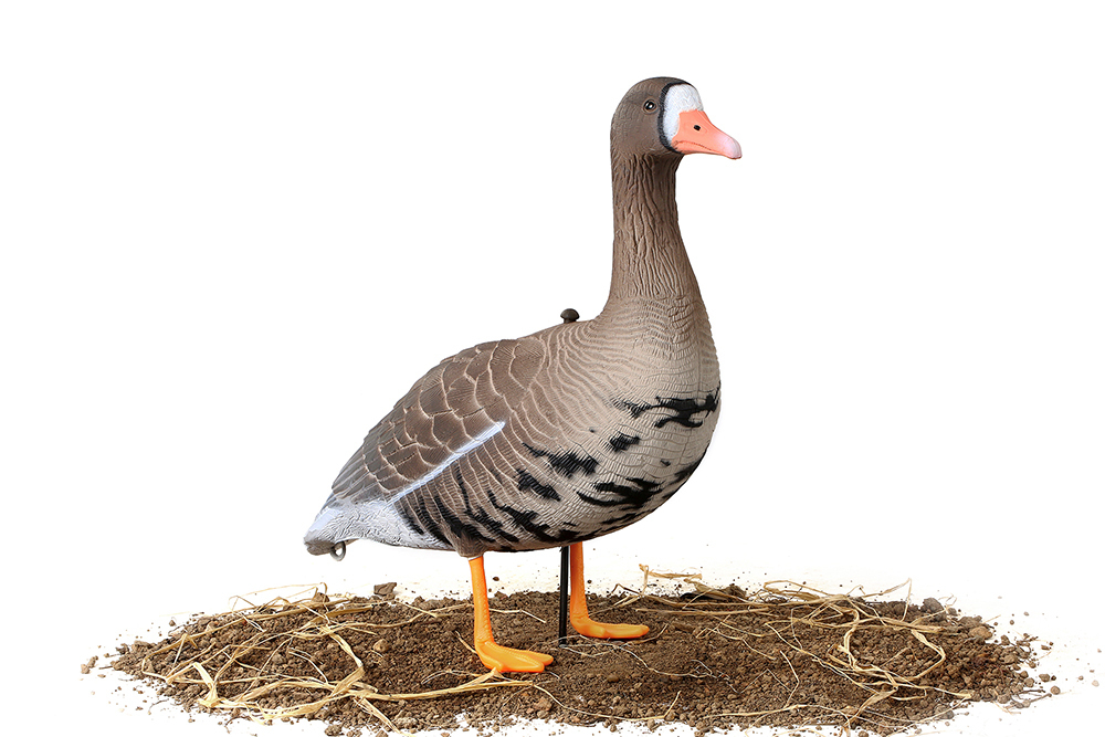 Белолобый гусь Softplast 3D мод. B10S-3D