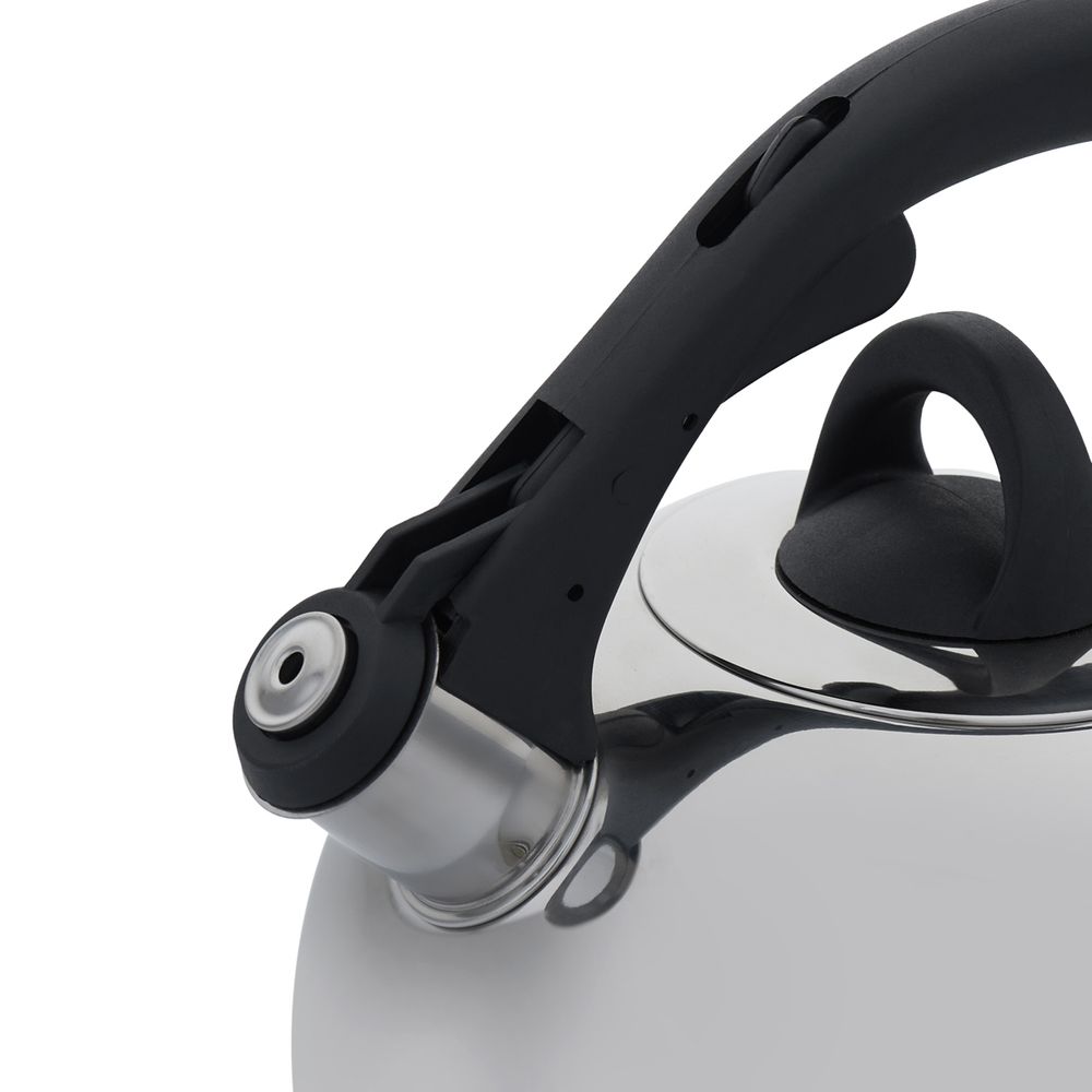 Чайник для плиты Gipfel Cosmo 8601 2,5 л