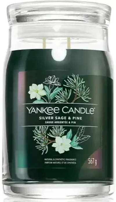YANKEE CANDLE SILVER SAGE & PINE 567 GR