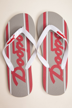 Сланцы Запорожец Добро Серый