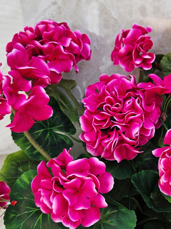 Искусственные цветы Герань вишневая 40см в балконном ящике