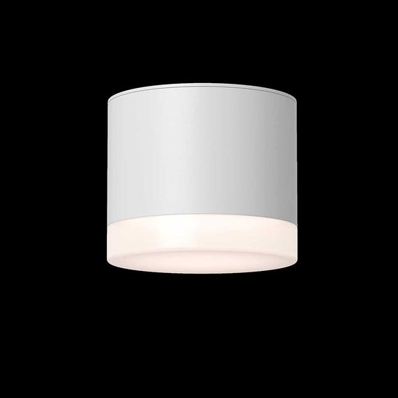 Потолочный светильник Maytoni Technical Pauline C087CL-GX53-W