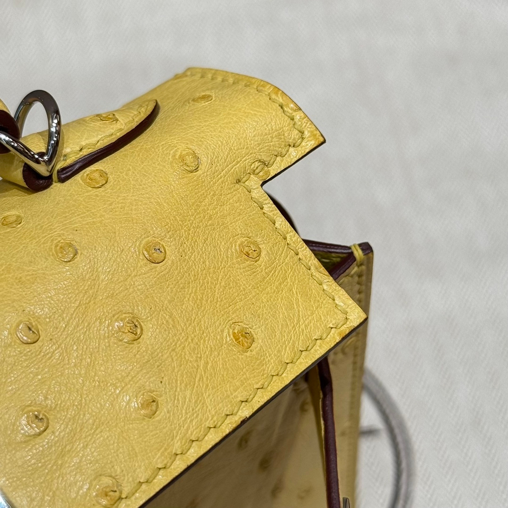 Hermes Kelly 19