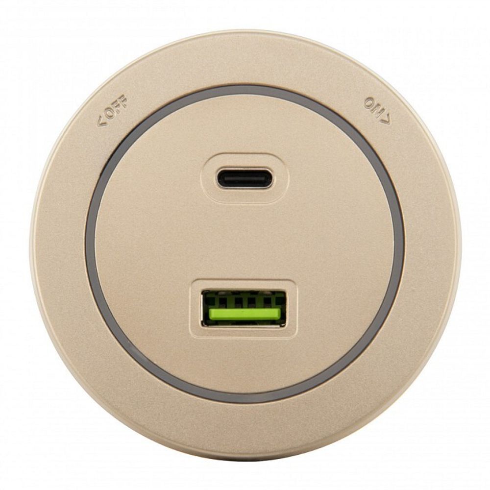 Розетка USB и type C на треке Arte Milano Am-track-sockets-39 399731TS/USB-Type-C Gold