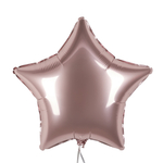 Звезда 18" Грибной, сатин Fm