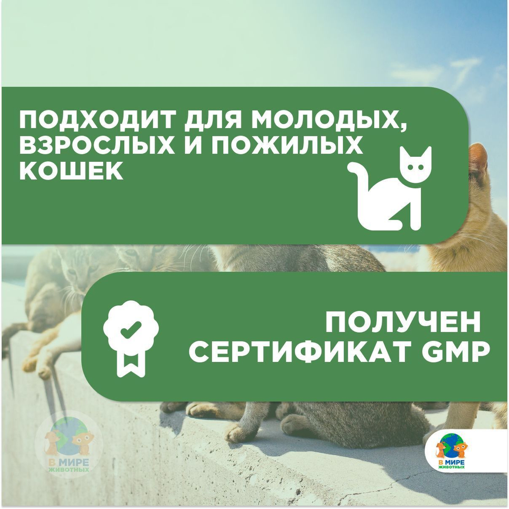 Стоп-цистит Био для кошек, суспензия для приема внутрь, 30 мл х 2, Комплект из 2-х упаковок
