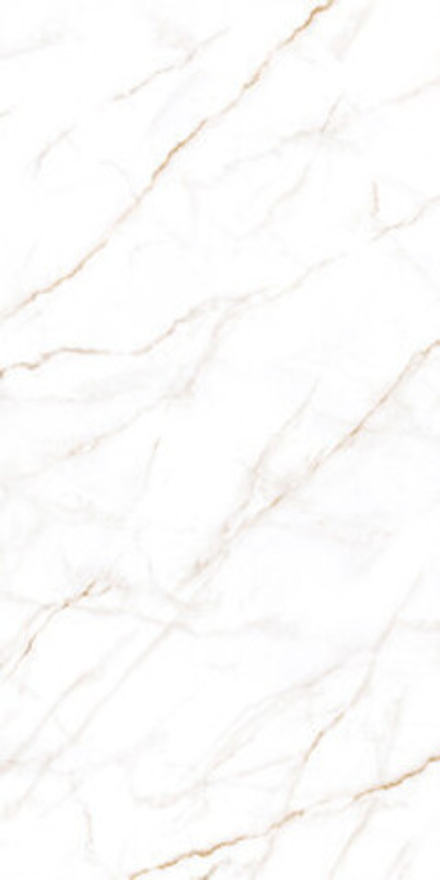 Керамогранит Neo Calacatta (GFU60120NCL04R) матовый