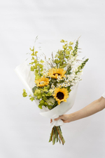 Sunflower’s field