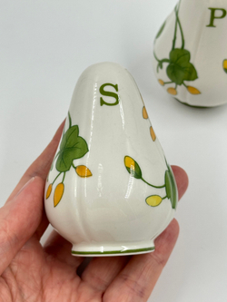 Набор для специй Villeroy & Boch, Geranium