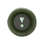 Портативная колонка JBL Flip 6, Squad (Камуфляжный)