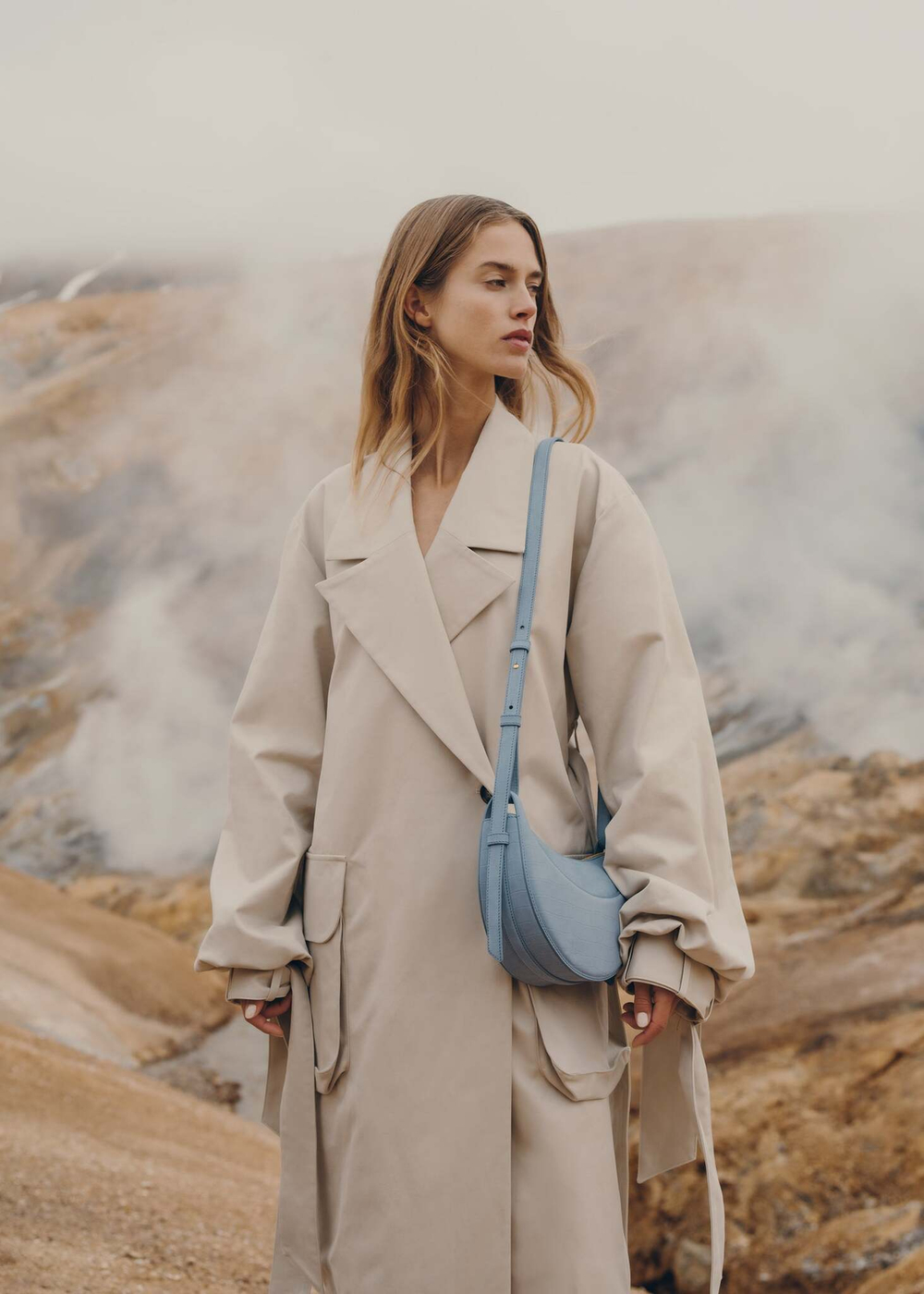 Сумка Polene Numero Dix EDITION CROCODILE NUBUCK POLAR