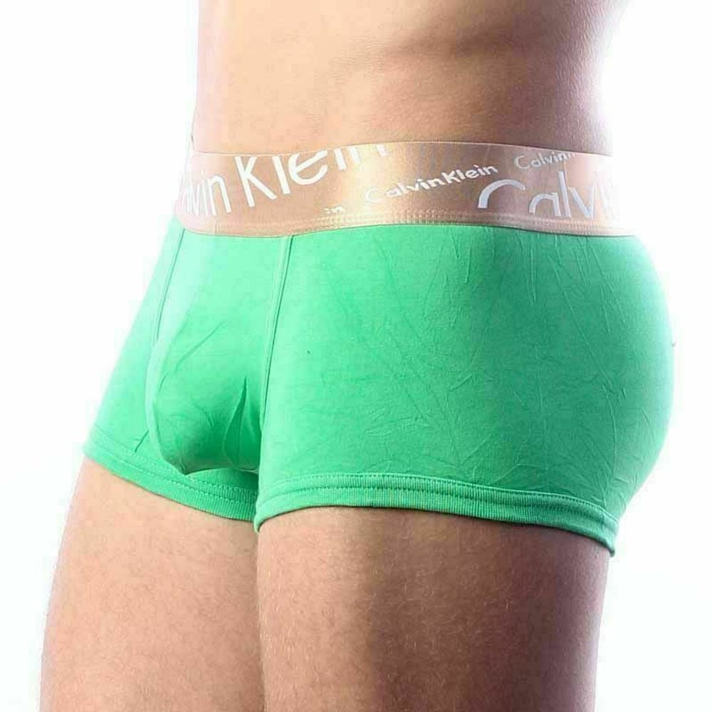 Мужские трусы боксеры зеленые с косой резинкой Calvin Klein Bronze Boxer Italics Green