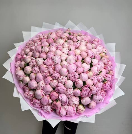 Потрясающая Сара