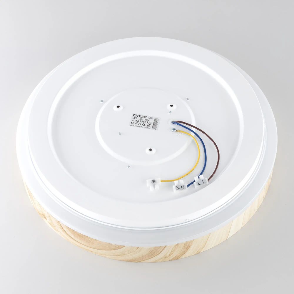 Citilux ENZO CL753352G LED RGB Светильник с пультом Клён