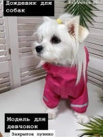 Дождевик для собак, водонепроницаемый