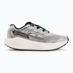 Кроссовки для бега Salomon Aero Blaze 3 Gravel lunar rock/white/black
