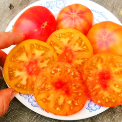 Помидоры Головокружительный Русский - Russian Swirl Dwarf Tomato