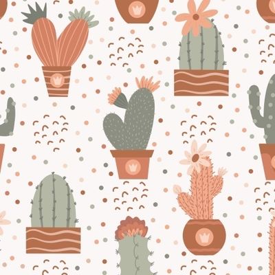 Кактусы Бохо