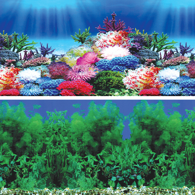 Фон "Водное шоу/Карнавал", 9031/9099, 600*1500мм, Laguna AQUA